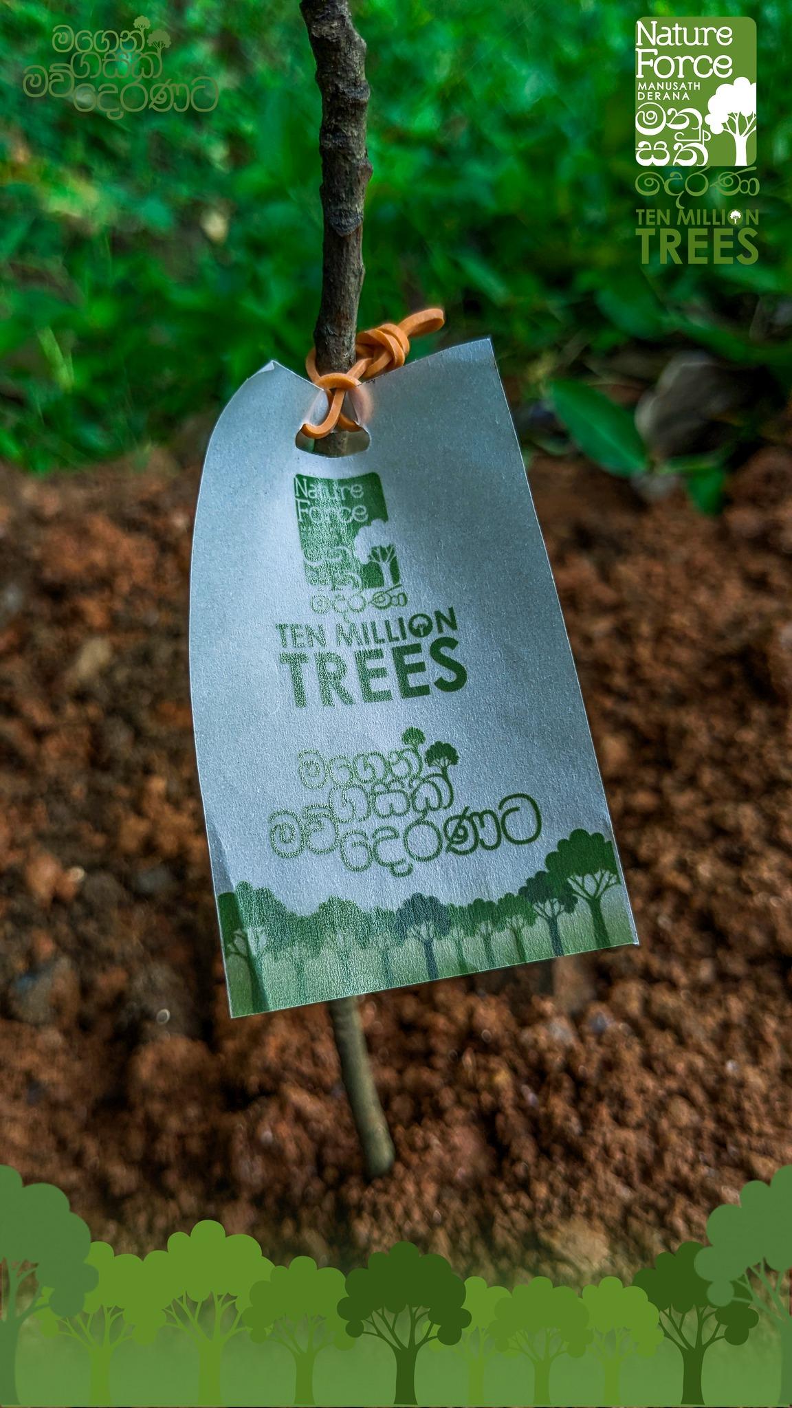 Environmental initiative